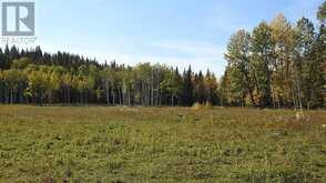 108 Acres bordering Kananaskis Rural Foothills