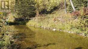 108 Acres bordering Kananaskis Rural Foothills