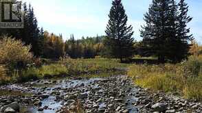 108 Acres bordering Kananaskis Rural Foothills