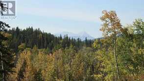 108 Acres bordering Kananaskis Rural Foothills