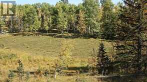 108 Acres bordering Kananaskis Rural Foothills