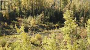 108 Acres bordering Kananaskis Rural Foothills