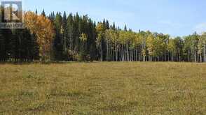 108 Acres bordering Kananaskis Rural Foothills