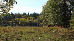 108 Acres bordering Kananaskis Rural Foothills