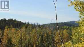 108 Acres bordering Kananaskis Rural Foothills