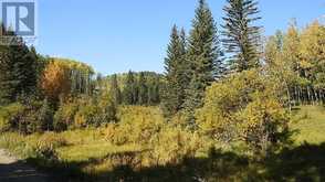 108 Acres bordering Kananaskis Rural Foothills