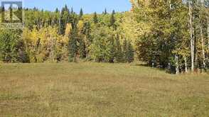 108 Acres bordering Kananaskis Rural Foothills