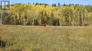 108 Acres bordering Kananaskis Rural Foothills