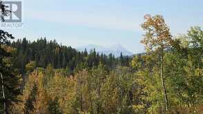 108 Acres bordering Kananaskis Rural Foothills