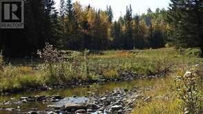 108 Acres bordering Kananaskis Rural Foothills