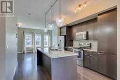 147 Silverado Common SW Calgary