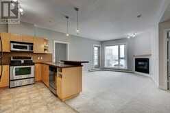 241, 69 Springborough Court SW Calgary