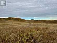 On Range Road 260 Rural Red Deer