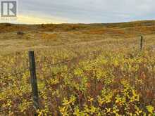 On Range Road 260 Rural Red Deer