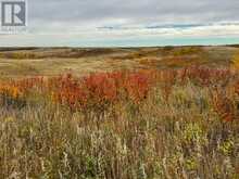 On Range Road 260 Rural Red Deer