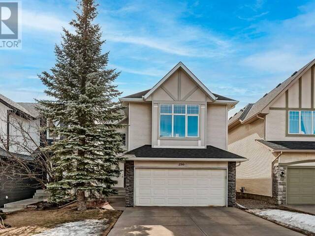 250 Springborough Way SW Calgary