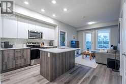 320, 1605 17 Street SE Calgary