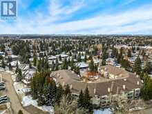 103, 2144 Paliswood Road SW Calgary