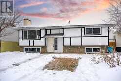 115 Pinecrest Crescent NE Calgary