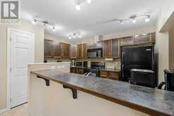 193 LUXSTONE Way SW Airdrie