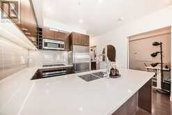 308, 323 20 Avenue SW Calgary