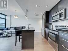 404, 225 11 Avenue SE Calgary