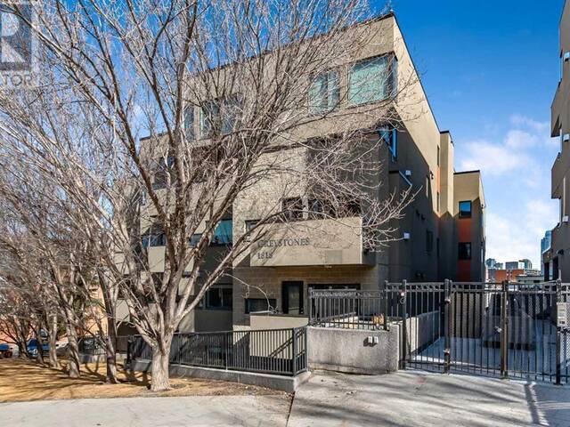 207, 1818 14 Street SW Calgary Alberta