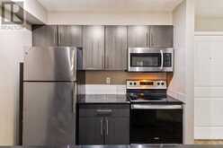 203, 5 Saddlestone Way NE Calgary