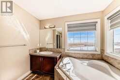 8 Saddlebrook Landing NE Calgary