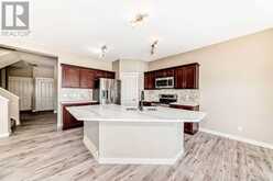 8 Saddlebrook Landing NE Calgary