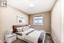 8 Saddlebrook Landing NE Calgary