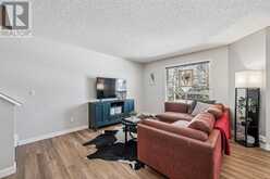 3, 156 Canoe Drive SW Airdrie