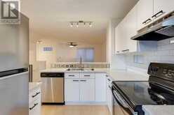 1, 1207 9 Street SW Calgary