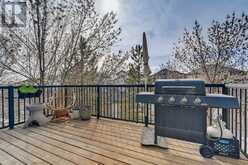 372 Rainbow Falls Drive Chestermere