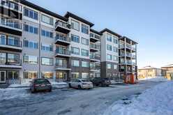 1119, 395 Skyview Parkway NE Calgary