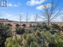 293053 Twp Rd 263 Rural Rocky View