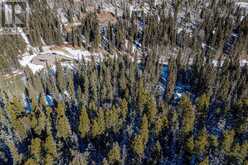 Mountain Lion Drive Rural Rocky View