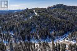 Mountain Lion Drive Rural Rocky View