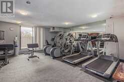 235, 30 Mchugh Court NE Calgary