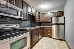 1207, 315 Southampton Drive SW Calgary