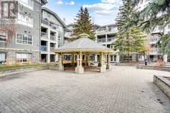 250, 35 Richard Court SW Calgary