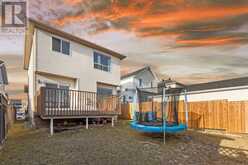 112 Costa Mesa Close NE Calgary