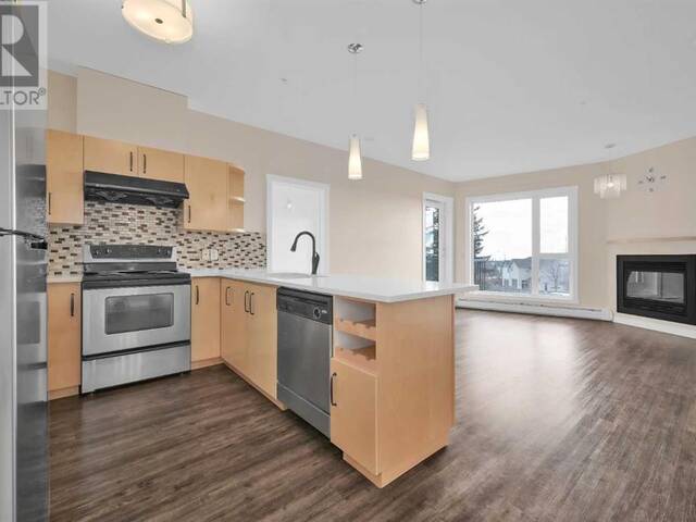 208, 69 Springborough Court SW Calgary