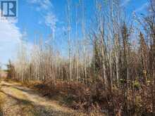 LOT 11 CON 4, LONG LAKE Timiskaming 