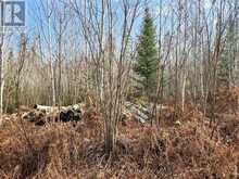 LOT 11 CON 4, LONG LAKE Timiskaming 