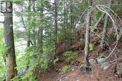 1831 HWY 71|Sabaskong Bay, Lake of the Woods Nestor Falls