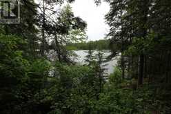 1831 HWY 71|Sabaskong Bay, Lake of the Woods Nestor Falls