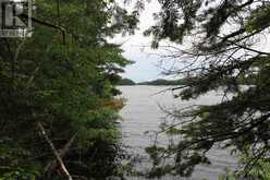 1831 HWY 71|Sabaskong Bay, Lake of the Woods Nestor Falls