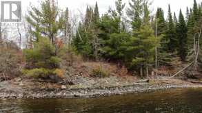 1831 HWY 71|Sabaskong Bay, Lake of the Woods Nestor Falls