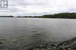 1831 HWY 71|Sabaskong Bay, Lake of the Woods Nestor Falls